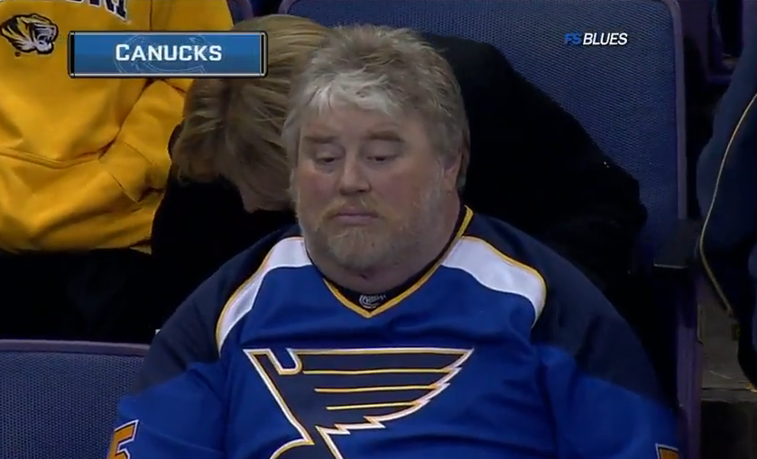 st-louis-blues-fan st-louis-blues-fan